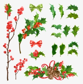 Mistletoe Vector Decoration - 호랑 가시 나무 크리스마스, HD Png Download, Free Download