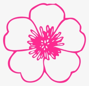 Flower Svg Clip Arts - Flowers With No Color, HD Png Download, Free Download