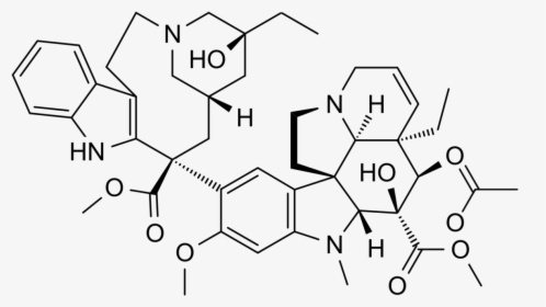 Vincristine And Vinblastine, HD Png Download, Free Download