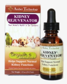 Amber Technology Kidney Rejuvenator 1oz - Dandelion Leaf For Dogs, HD Png Download, Free Download