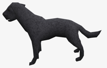 Black Dog Runescape, HD Png Download, Free Download