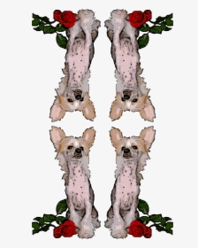 Chinese Crested Dog , Transparent Cartoons - Chinese Crested Dog, HD Png Download, Free Download