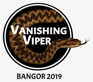 Vv Logo Clear - Lyre Snake, HD Png Download, Free Download