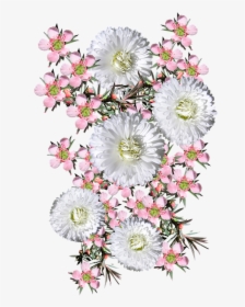 Pink, Tea Tree, White Daisies - Bouquet, HD Png Download, Free Download