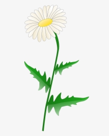 Daisy Clip Art, HD Png Download, Free Download