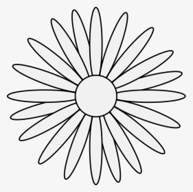 Sunflower Line Art Png, Transparent Png, Free Download