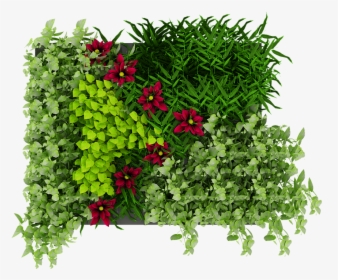 Green, Wall, Leaves, Flowers, Nature - Plant Green Wall Png, Transparent Png, Free Download