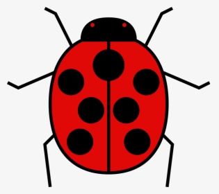 Coccinelle In English, HD Png Download, Free Download