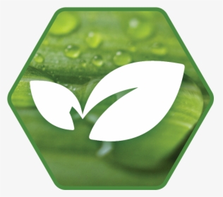 Transparent Sustainability Png - Drop, Png Download, Free Download