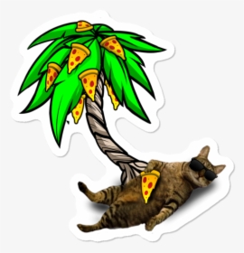 Cat Yawns, HD Png Download, Free Download