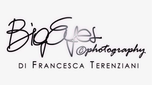 Big Eyes Photography - Calligraphy, HD Png Download, Free Download