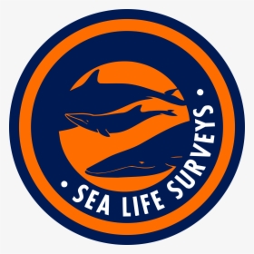 Sea Life Surveys Logo Png Transparent - Zumba Logo Hd, Png Download, Free Download