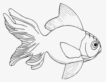 Line Drawings Of Fish, HD Png Download, Free Download