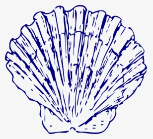 Seashell Blue Clip Art - Blue Seashells Transparent Background, HD Png Download, Free Download