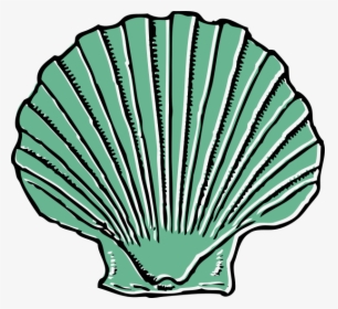 Transparent Sea Shell Clip Art - Shell Clip Art, HD Png Download, Free Download