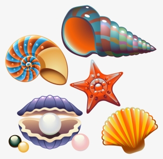 Clam Seashell Nautilidae Clip Art - Cute Seashell Clip Art, HD Png Download, Free Download