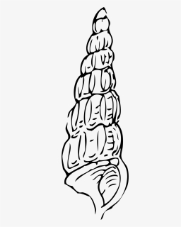 Seashell Drawing Clam Clip Art - Long Seashell Clipart, HD Png Download, Free Download