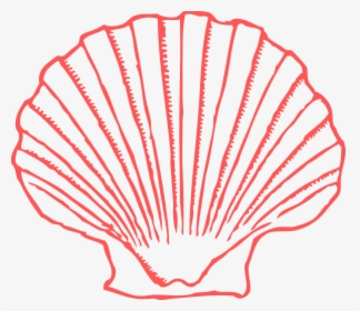 Seashell Black And White, HD Png Download, Free Download