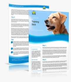 Share This Free Dog Training Lesson With Your Dog Loving - Labrador Retriever, HD Png Download, Free Download