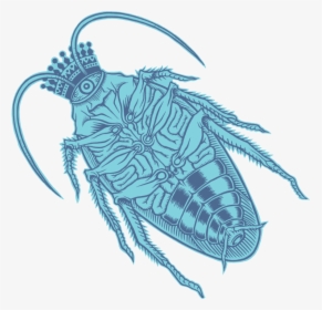 House Fly, HD Png Download, Free Download