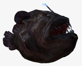 Monkfish, HD Png Download, Free Download