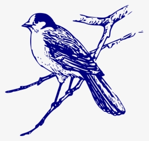 Bird Drawing Png, Transparent Png, Free Download