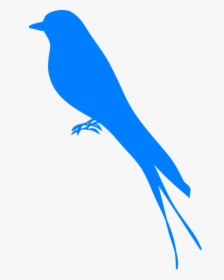 Martin Bird Swallow - Outline Of Blue Bird, HD Png Download, Free Download