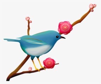Blue Bird, Sakura Branch, Bird On Branch, Pink Flower - Bluebird, HD Png Download, Free Download