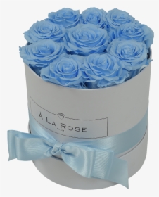 Orb Original Baby Blue Roses"  Class="lazyload Lazyload - Baby Blue Roses, HD Png Download, Free Download