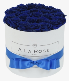 Royal Blue Roses - Rose, HD Png Download, Free Download