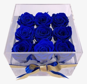 Blue Rose, HD Png Download, Free Download