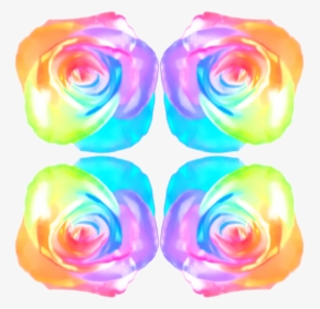 Transparent Rainbow Rose Png - Garden Roses, Png Download, Free Download