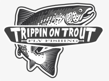 Transparent Trout Clipart - Logo Fly Fishing, HD Png Download, Free Download