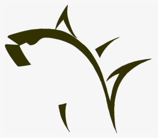 Fish Graphics - Clipart Library - Fishing Logos - Png - Fishing Logos, Transparent Png, Free Download