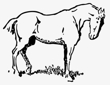 This Free Icons Png Design Of Small-eyed Horse - Small Horse Black And White, Transparent Png, Free Download