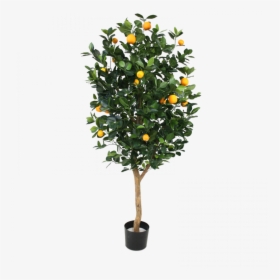 Mandarin-orange - Artificial Orange Tree Png, Transparent Png, Free Download