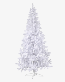 Christmas Tree Canadian - Weihnachtsbaum Weiß Obi, HD Png Download, Free Download