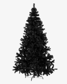 Christmas Tree Quebec - 10 Foot Black Christmas Tree, HD Png Download, Free Download