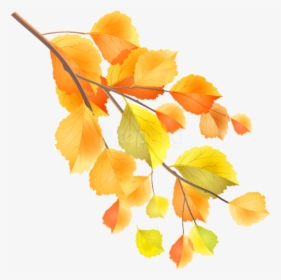 Stem,maidenhair Tree,flowering Plant - Fall Tree Branch Png, Transparent Png, Free Download