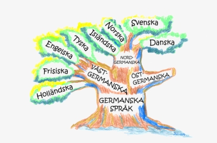 Language Tree, HD Png Download, Free Download