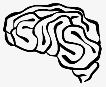 Brain, Anatomy, Intelligence, Organ, Human, Neurology - Brain Clip Art, HD Png Download, Free Download