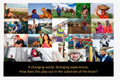 Human Brain Diversity - Collage, HD Png Download, Free Download