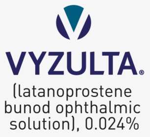 Vyzulta Logo, HD Png Download, Free Download