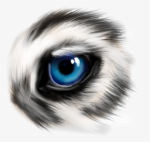 Wolf Eye Practice - Ojos Azules, HD Png Download, Free Download