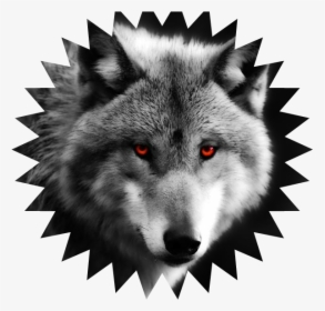 Wolf Cl3aesgfgrfose Up Weee111red Eyes Predator 1080p - Wolf Picture On Canvas, HD Png Download, Free Download