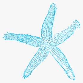 Blue Starfish Svg Clip Arts - Teal Starfish Clipart, HD Png Download, Free Download