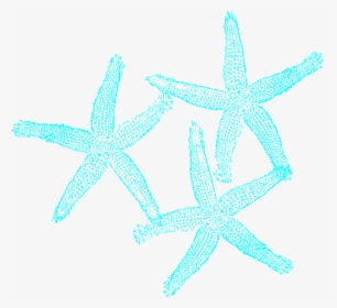 Coral And Turquoise Clip - Blue And Green Starfish Art, HD Png Download, Free Download