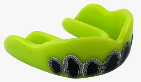 Crocodile, HD Png Download, Free Download