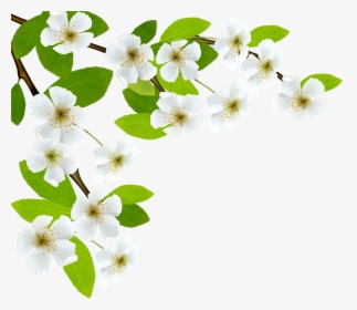 White Spring Branch Png Clipart Image - Good Morning Message With Respect, Transparent Png, Free Download