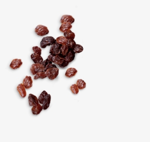 Transparent Raisin Png, Png Download, Free Download